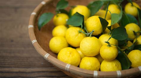 Japanese Yuzu Fruit May Have Some Serious Miracle Powers Sheknows