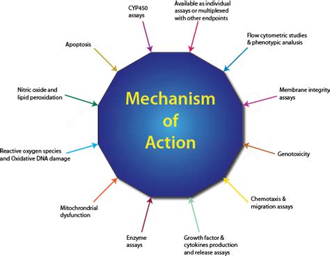 Learn vocabulary, terms and more with flashcards, games and other study tools. Mechanism of Action studies performed at HemoGenix