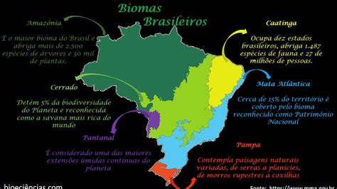 Qual A Importancia Dos Biomas Brasileiros BrasilEduca