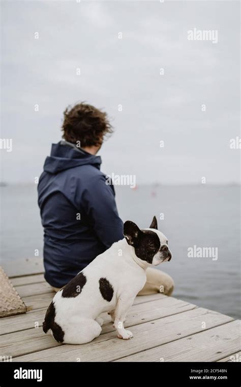 Anonymous Adult Male In Warm Jacket Embracing Spotted French Bulldog