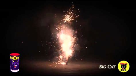 The biggest and most powerful fountain available in the uk and reaches a massive height. Big Cat | Black Cat Fireworks New for 2015 - YouTube