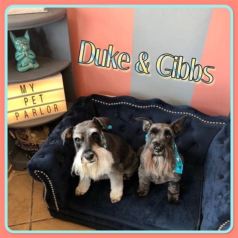 My Pet Parlor - Home