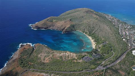 The Race Is On To Book A Reservation At Hanauma Bay Honolulu Civil Beat