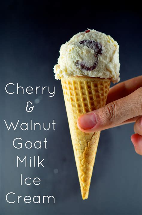 Add 1/4 cup cocoa powder to the base recipe below. Cherry & Walnut Goat's Milk Ice cream
