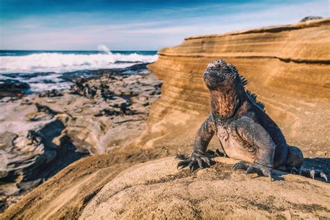 Galapagos Highlights Santa Cruz Island 5 Days Kimkim