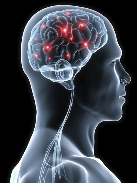 If there are any problems with e halal login, check if password and username is written correctly. The human brain and nervous system for KS1 and KS2 ...