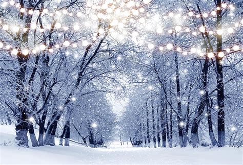 34 Free Zoom Backgrounds Winter  Alade
