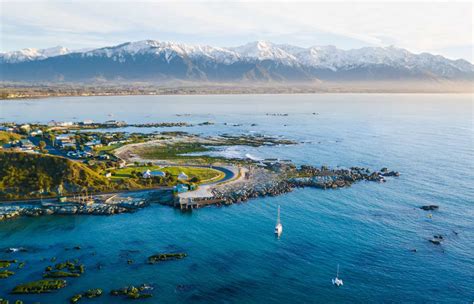 Kaikoura New Zealand Official Tourism Website