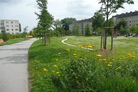 Here are 5 of my favorite tools that make clearing overgrown land satisfying and fun! Association Pleads For Clean Environment In Festac ...