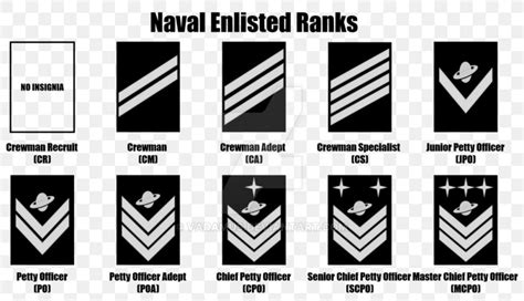 United States Navy Officer Rank Insignia Military Ran
