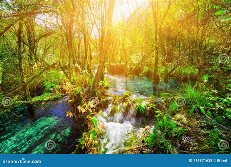 River With Azure Crystal Clear Water Among Green Forest Stock Photo