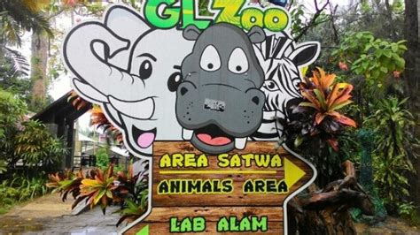 Fasilitas di waterpark yang satu ini tidak kalah dengan beragam wahana permainan yang. Macam Macam Hewan Di Kebun Binatang