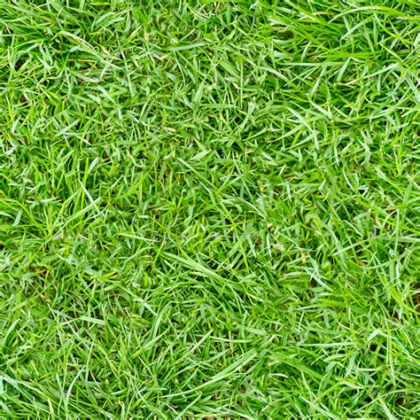 5 Grass Tileable Textures By Mihnelis 3docean