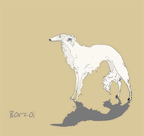 Borzoi Blanco By Ra Milano Canine Art Dog Illustration Animal Drawings