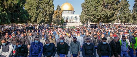 רק 17 מאומתים, 2 מהמגזר החרדי17. סורבה בקשת ישראל לפתיחת מתחם חיסונים בהר הבית | כאן