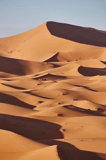 Arenas Interminables Del Desierto Del Sahara Hermoso Atardecer Sobre