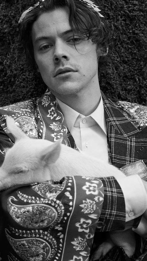 Pin By 🐮𝐊𝐀𝐄𝐘𝐋𝐀🐮 On Barry Styles Harry Styles Photos Harry Styles