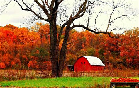 Autumn In Indiana Photograph By Robin Pross Fine Art America