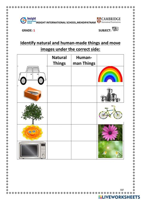 Natural And Human Made Things Worksheet Live Worksheets