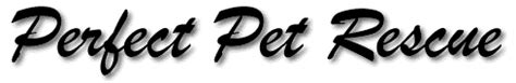Perfect pet rescue has many wonderful dogs for adoption. Perfect Pet Rescue
