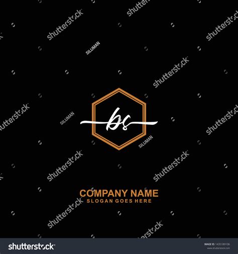 Bs Initial Handwriting Logo Template Vector Royalty Free Stock Vector