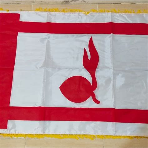 Bendera Pramuka Tunas Kelapa Lazada Indonesia