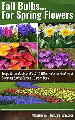 Fall blooming bulbs are more difficult to bring to mind. Fall Bulbs For Spring Flowers: Tulips, Daffodils ...