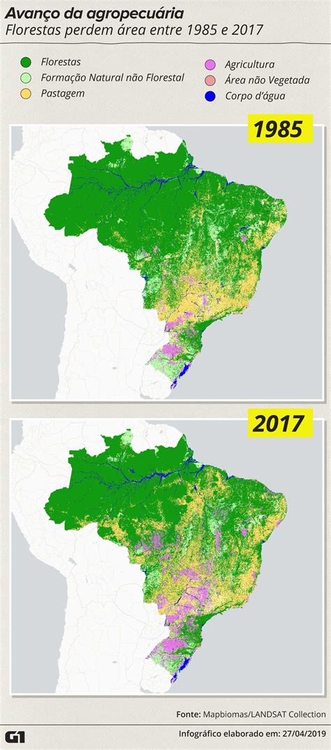 Amazônia Perdeu 18 Da área De Floresta Em Três Décadas Aponta Pesquisa