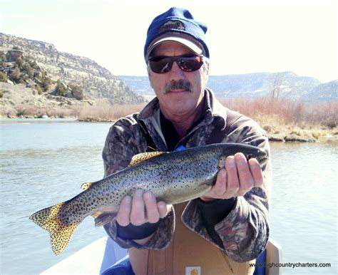 The San Juan River Fly Fishing Report Pagosa Springs CO February 2012