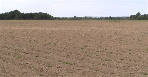 Dry Conditions Impacting Farmers News