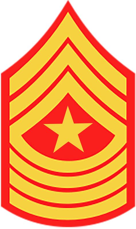 Us Military Rank Insignia In 2021 Military Ranks Marines Boot Camp
