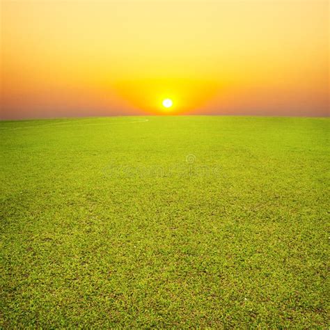 6357 Grassy Field Sunset Stock Photos Free And Royalty Free Stock