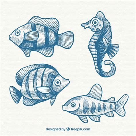 Free Vector Collection Of Blue Hand Drawn Fish