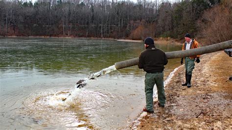 Winter Trout Stocking Schedule Announced Wtvc