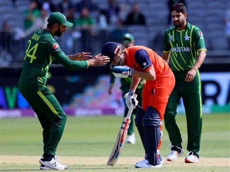 Pak Vs Ned Head To Head World Cup 2023 Pakistan Vs Netherlands Pitch