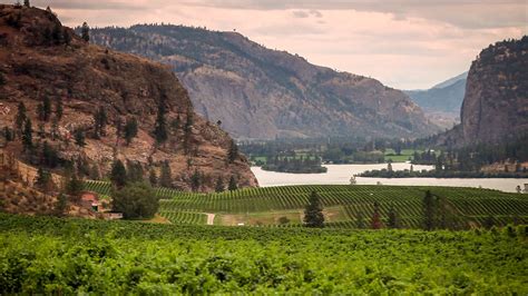 James Cluer In The Okanagan Valley Bc Canada Places To Stay Fine