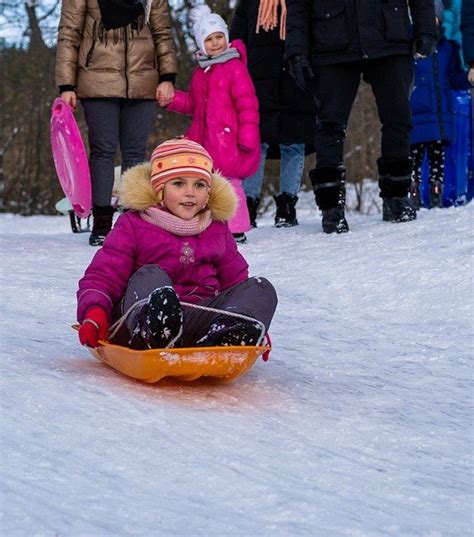 Best Sledding Hills In Chicago 2024