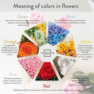 The Meaning Of Roses According To Their Colour Verdissimo