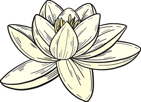 Lily Flower Clip Art Black And White