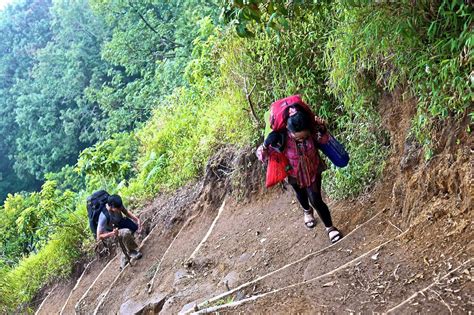 Pendakian Merbabu Lewat Jalur Selo Backpacker Jakarta