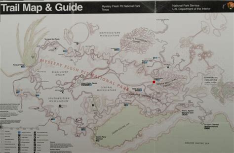 Mystery Flesh Pit National Park Trail Map And Guide In 2022 Park