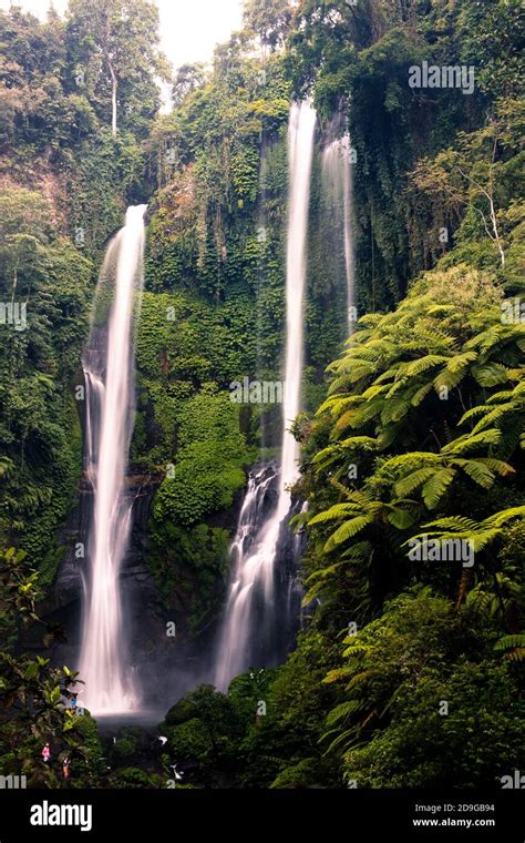 Sekumpul Waterfall In Bali Indonesia Stock Photo Alamy
