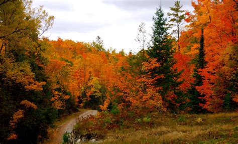 60 Of Our Favourite Photos Of Canadian Fall Foliage Cottage Life