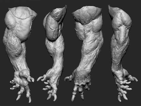 Check spelling or type a new query. Pin by Jorge Globo on Zbrush Goodness | Anatomy for ...