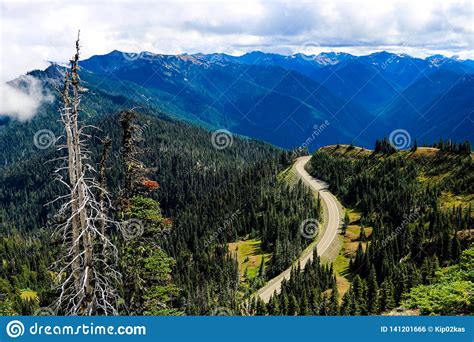 Top Of Hurricane Ridge At Olympic National Park Washington Usa Stock Photo Image Of Panorama