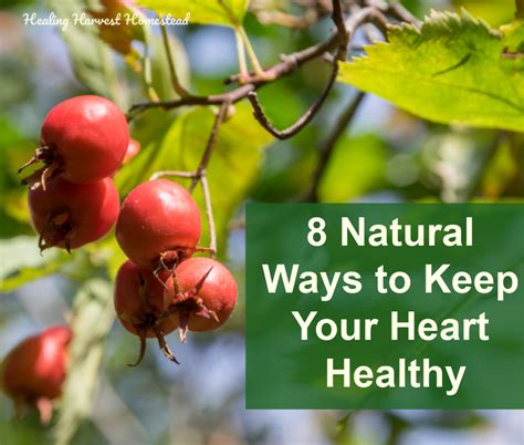 8 Easy Things To Do Every Day For Heart Health Natural Diy Diy Natural