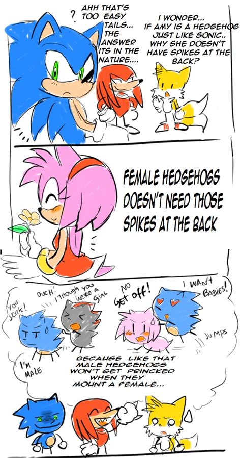 Image Sonic The Hedgehog Know Your Meme