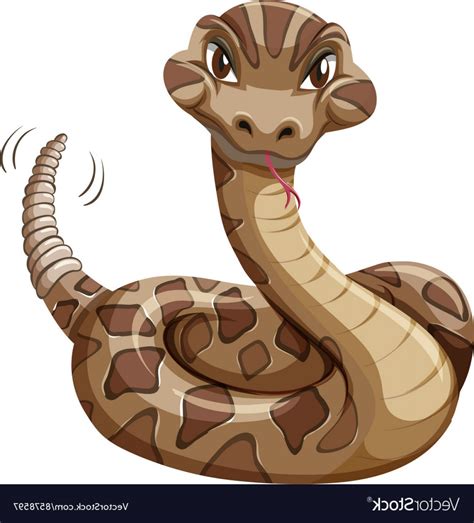 Rattlesnake Vector At Vectorified Collection Of Rattlesnake Vector Free For Personal Use