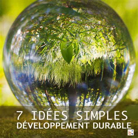 Favoriser développement durable : 7 idées simples pr entreprises