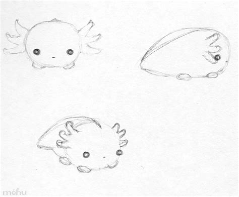 Axolotl Drawing Easy Chibi Board Kawaii Drawings Animal Drawings